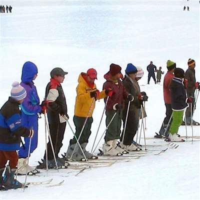shimla tour